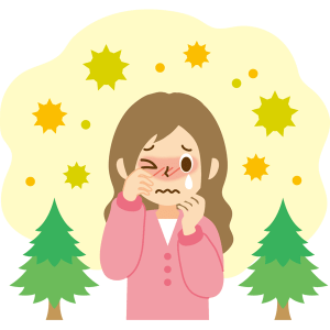 今年もスギやヒノキ花粉の飛散が多くなりそうです